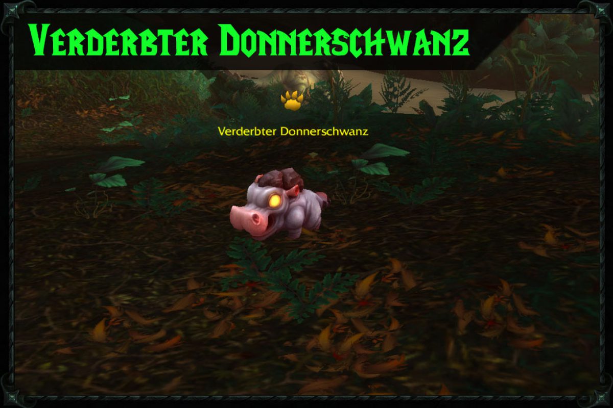 Posts_Header_large_donnerschwanzt