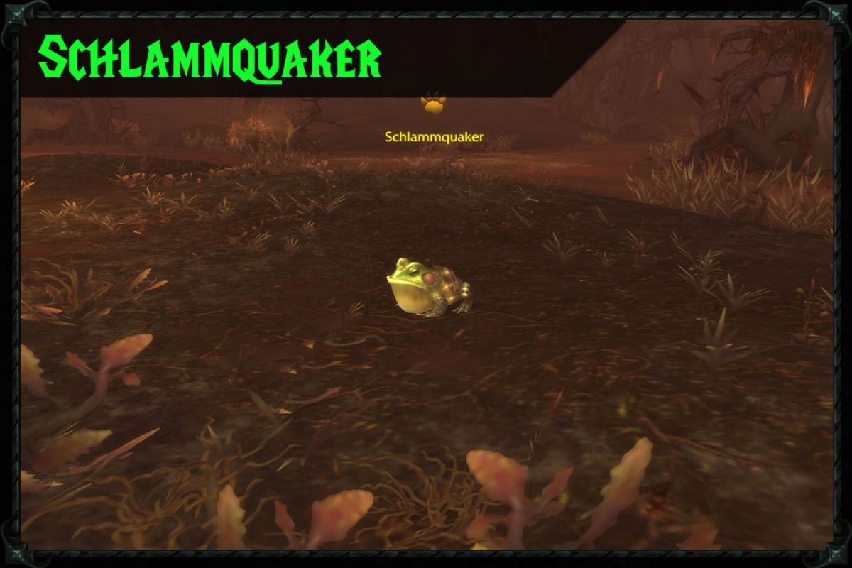 Posts_Header_large_schlammquaker