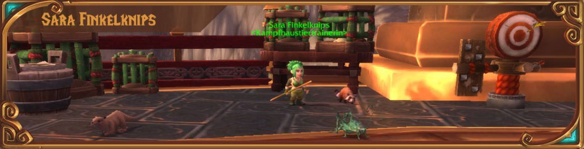 header_fullscreen_sarafinkelknirpsl