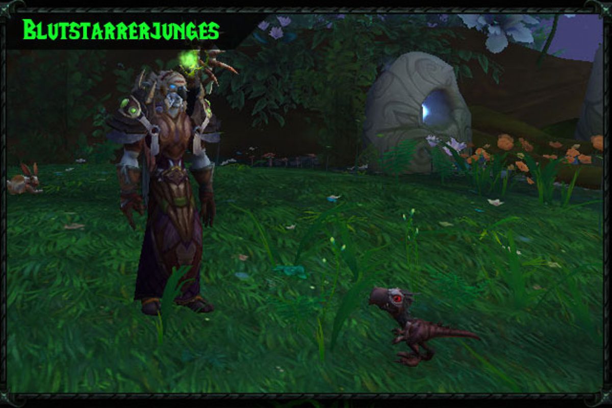 teaser_legion_blutstarrerjunges