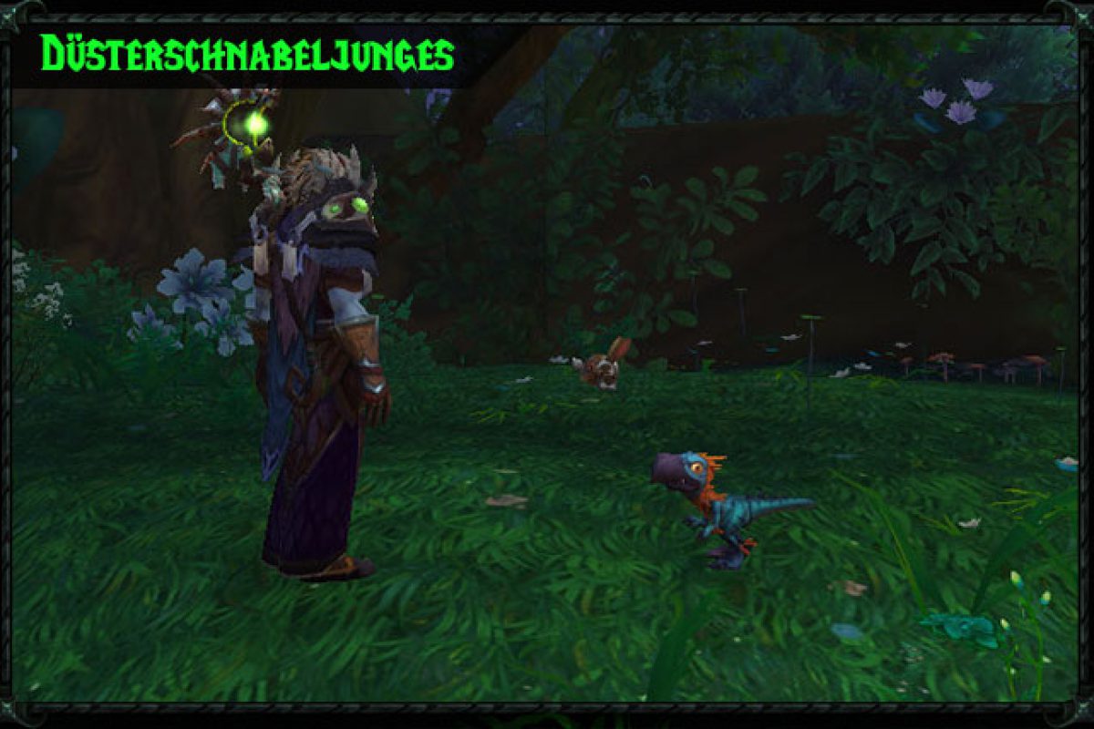 teaser_legion_duesterschnabeljunges