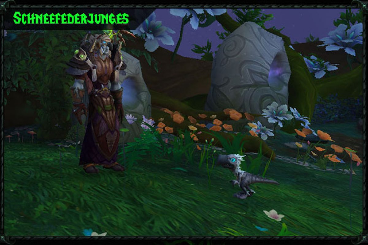 teaser_legion_schneefederjunges