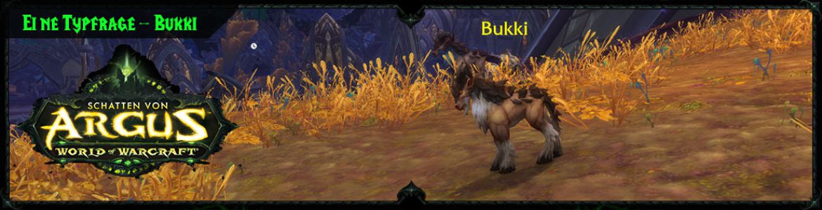 header_fullscreen_bukki