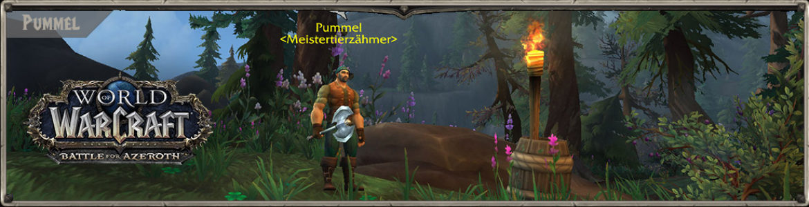 BattleforAzeroth_weltquests_header_pummel